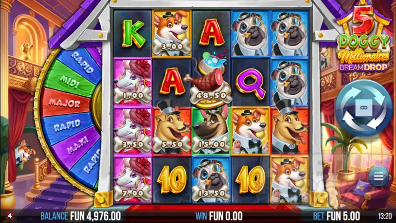 5 Doggy Millionaires Dream Drop