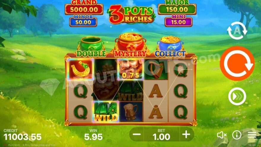 Wild symbols forming winning combinations.
