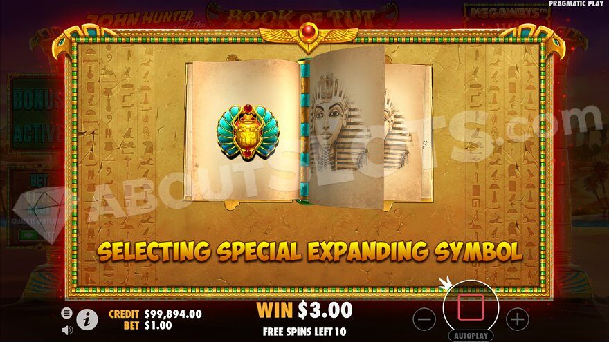 Before the start of free spins, one of the regular symbols is selected as a Special Expanding Symbol.