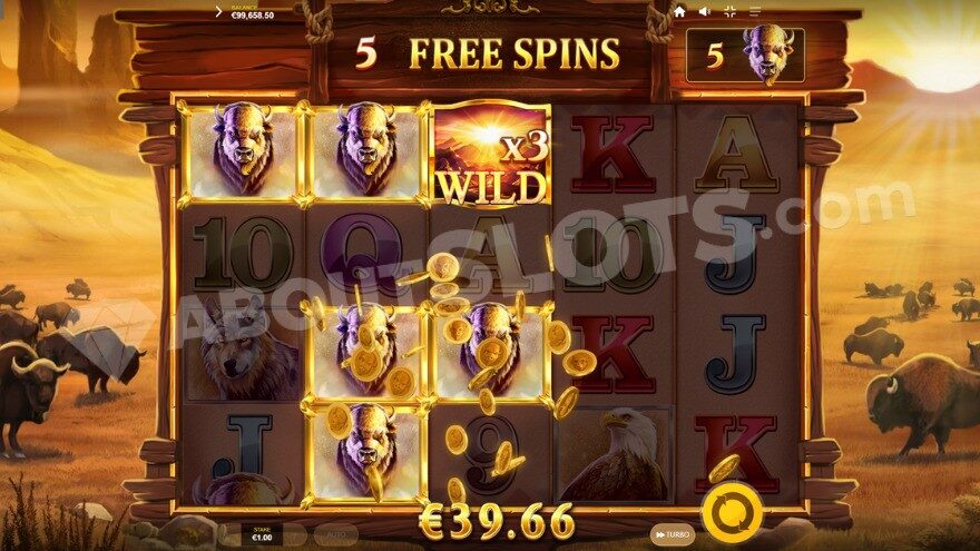 Free spins bonus game with a 3X wild symbol on the middle reel.