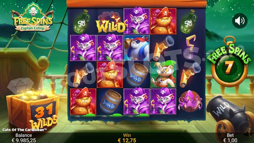 Set Sail for Wins with the Cats of the Caribbean Slot at 1win Games