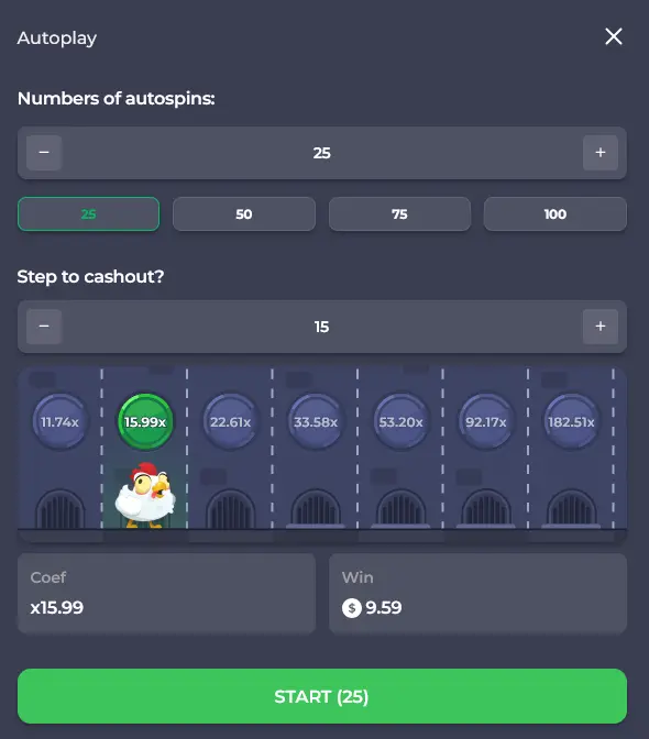 Autoplay Setting Chicken Road