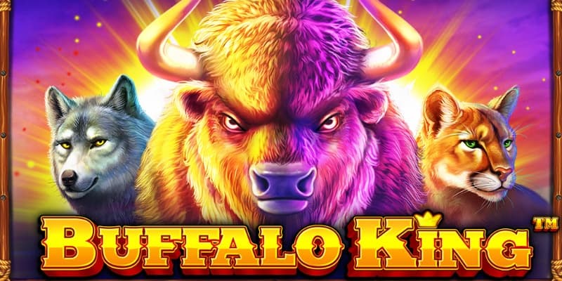 Buffalo King 1Win