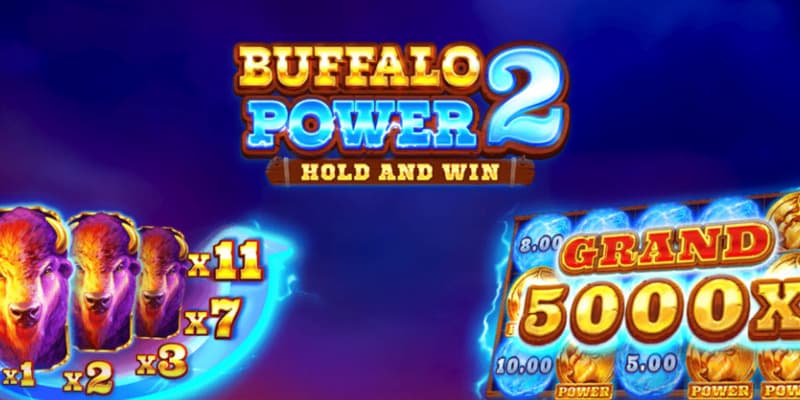 Buffalo Power 2