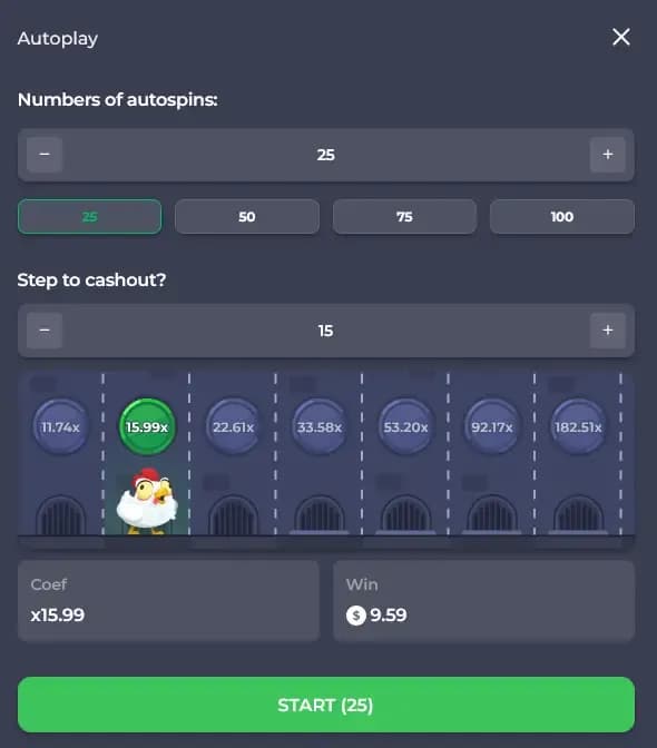 Autoplay Setting Chicken Road