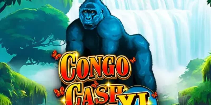 Congo Cash XL