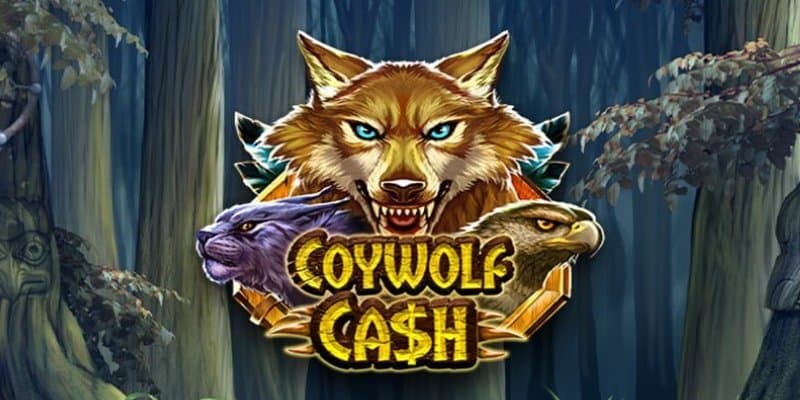 Coywolf Cash Slot 1Win