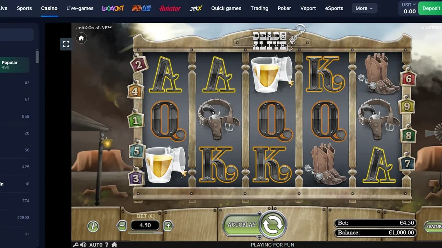 Dead or Alive 1win slot