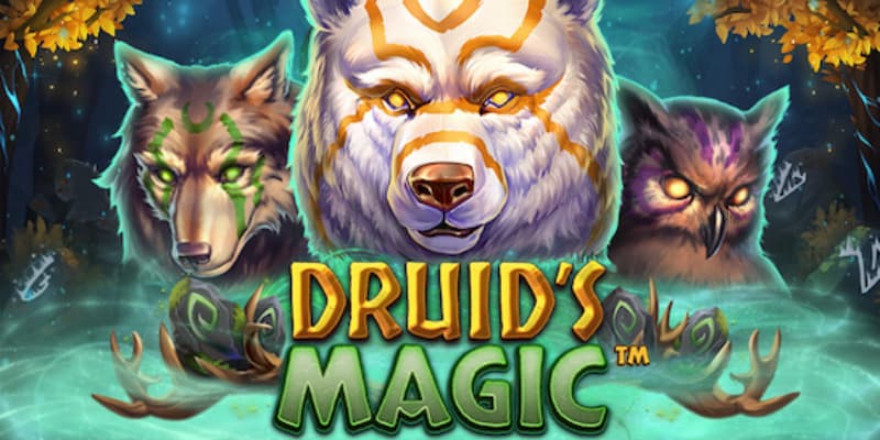 Druid’s Magic Slot