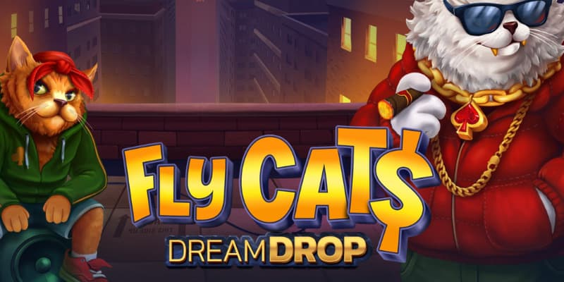 Fly Cat$ Dream Drop